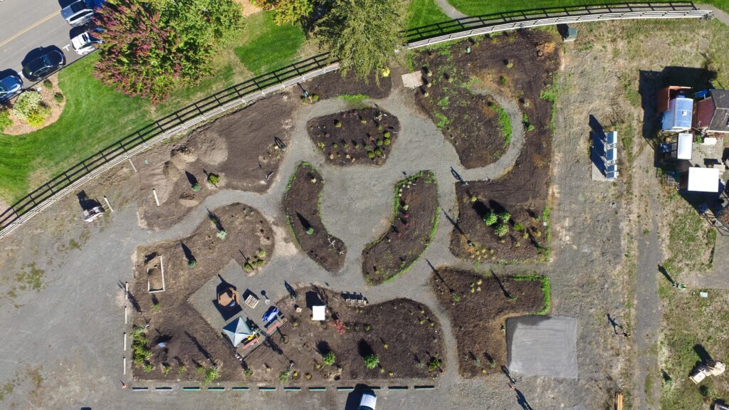 Aerial view of a garden under development with mulched planting beds arranged in curved shapes, gravel pathways between them, and small plants scattered throughout, bordered by a wooden fence with parked cars and grassy areas nearby.
