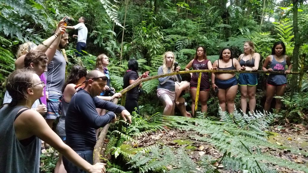 Palau Ridges to Reef -Day one! - Palau 2019: Ridge to Reef