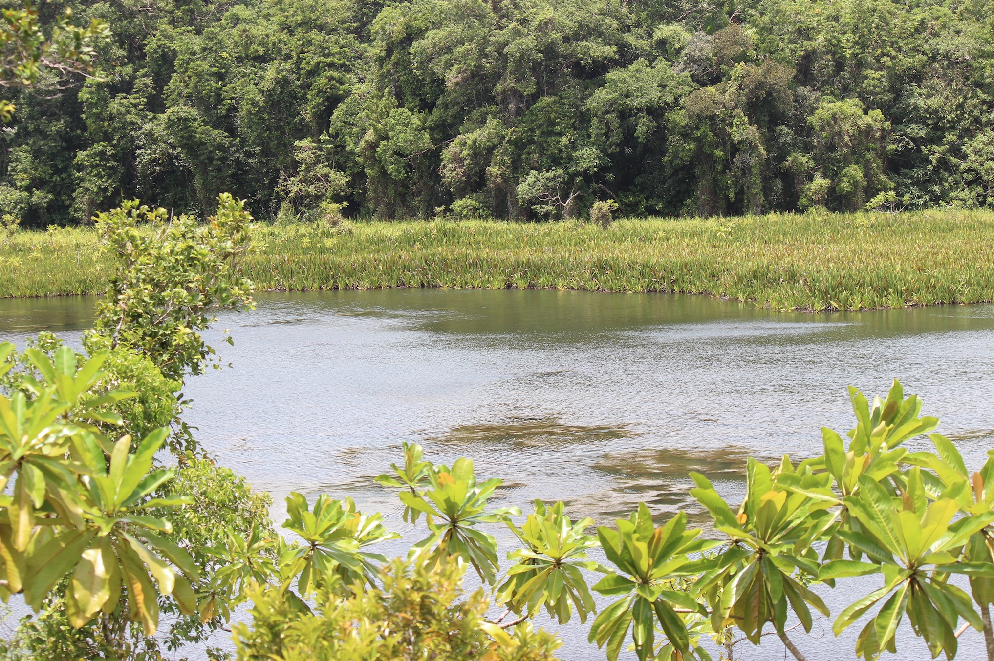 Day 13 Lake Ngardok (Crocodile?) FW 391 Ridge to Reef Sustainable