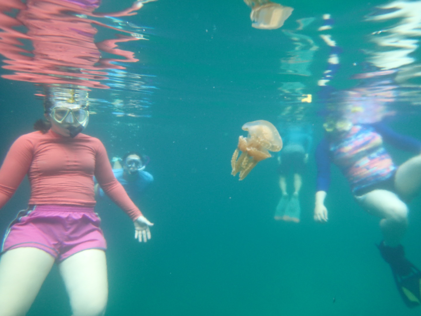 Day 13 Kayaking Risong Bay with Rock Islands Kayak Expeditions FW