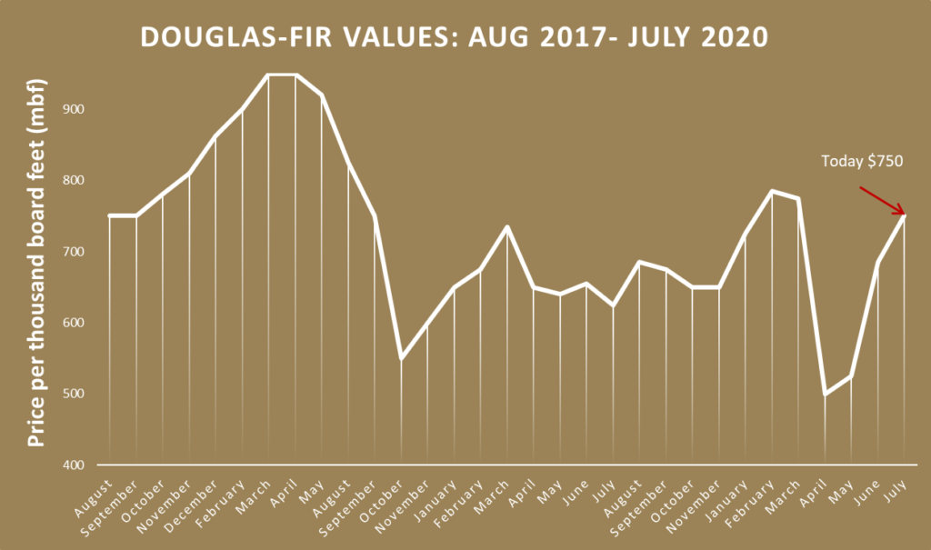 Catch a logger if you can Log and nontimber forest product prices and