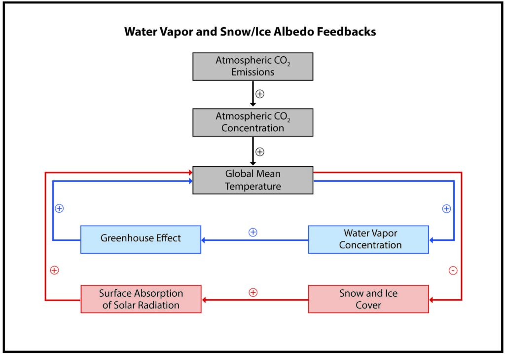 A box and arrow diagram shows the steps in the water vapor and snow/ice albedo feedbacks to climate warming.