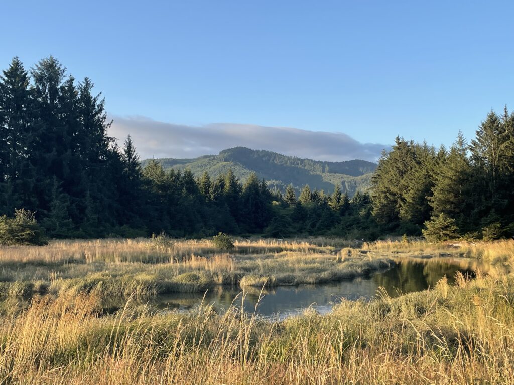 Kilchis Point Reserve in Tillamook County. Photo by Crystal Hernandez.