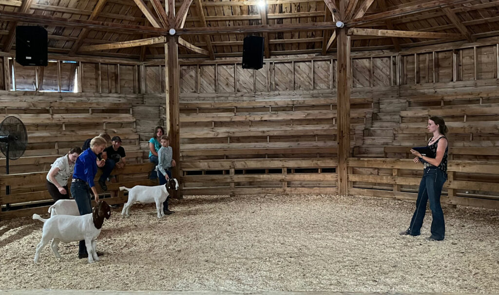 Three goats and their handlers stand facing a woman with a clipboard while others watch.