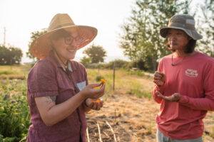 Two people in brimmed hats look at a yellow flower.