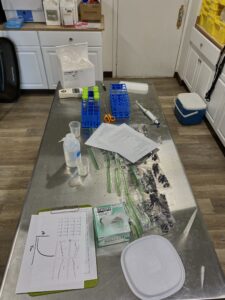 A metal table filled with lab supplies.