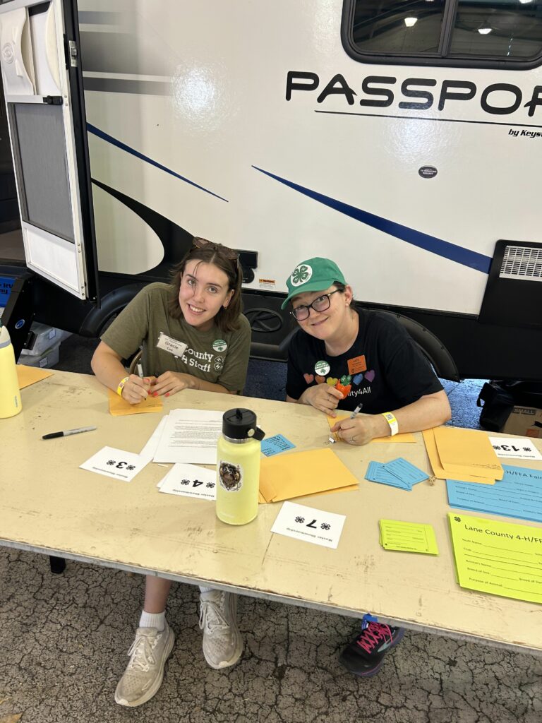 Two people sitting behind a table with yellow and blue papers on it