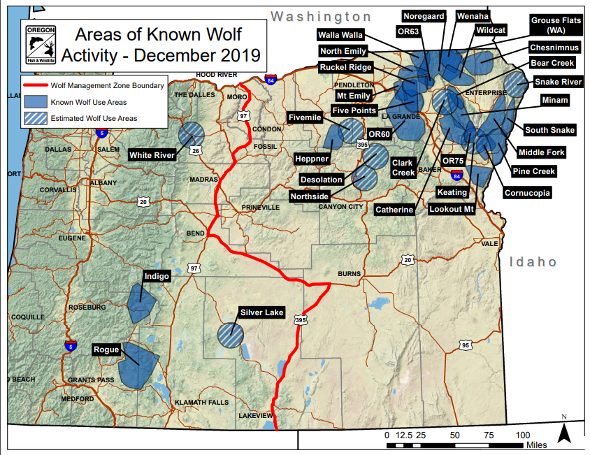 The Status of Habitat for The Gray Wolf – Wolves in The State of Oregon