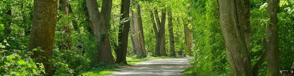 Writing 301 – Spring 2021