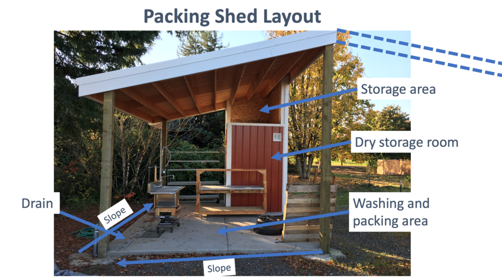 Packing Shed Project Learning together
