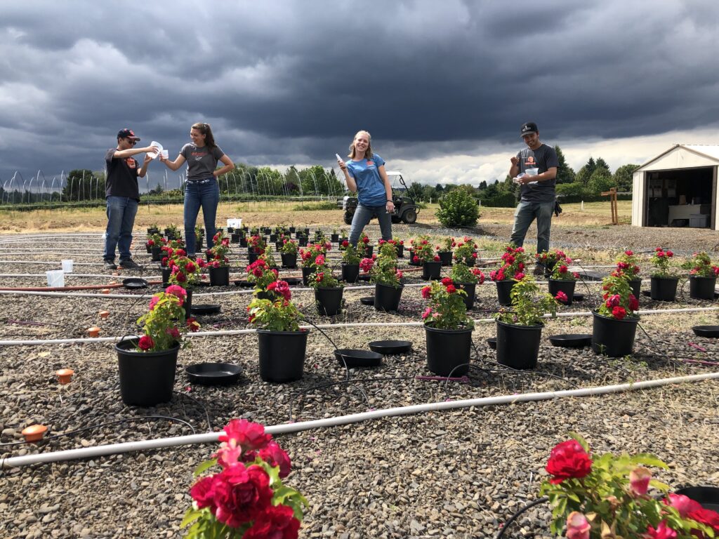 run-off pad at NWREC in Canby Oregon