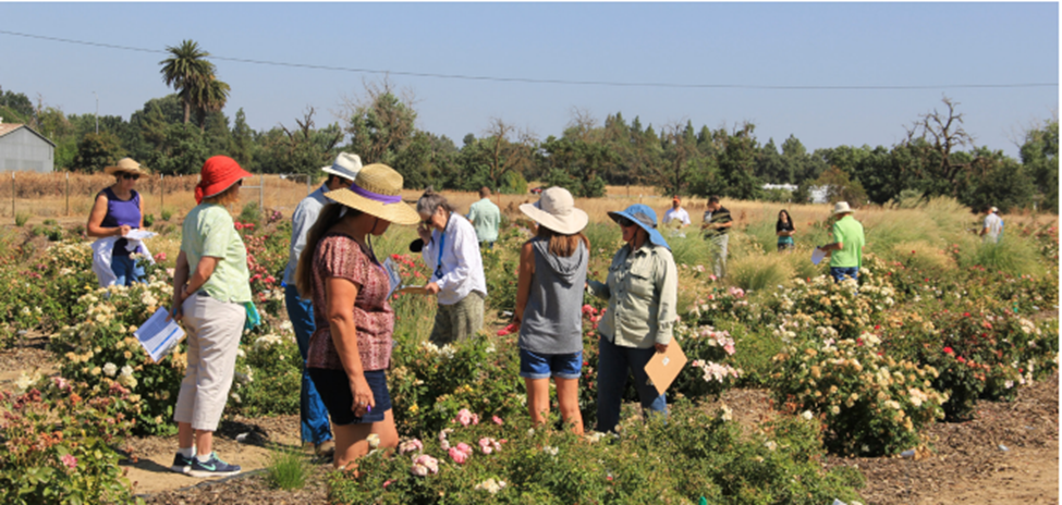 image shows participants examining landscape plants