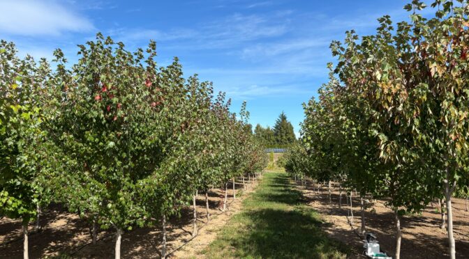 September 2025 Nursery News Notes