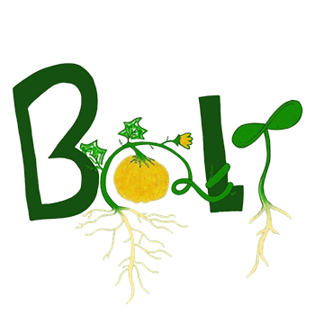 BOLT logo