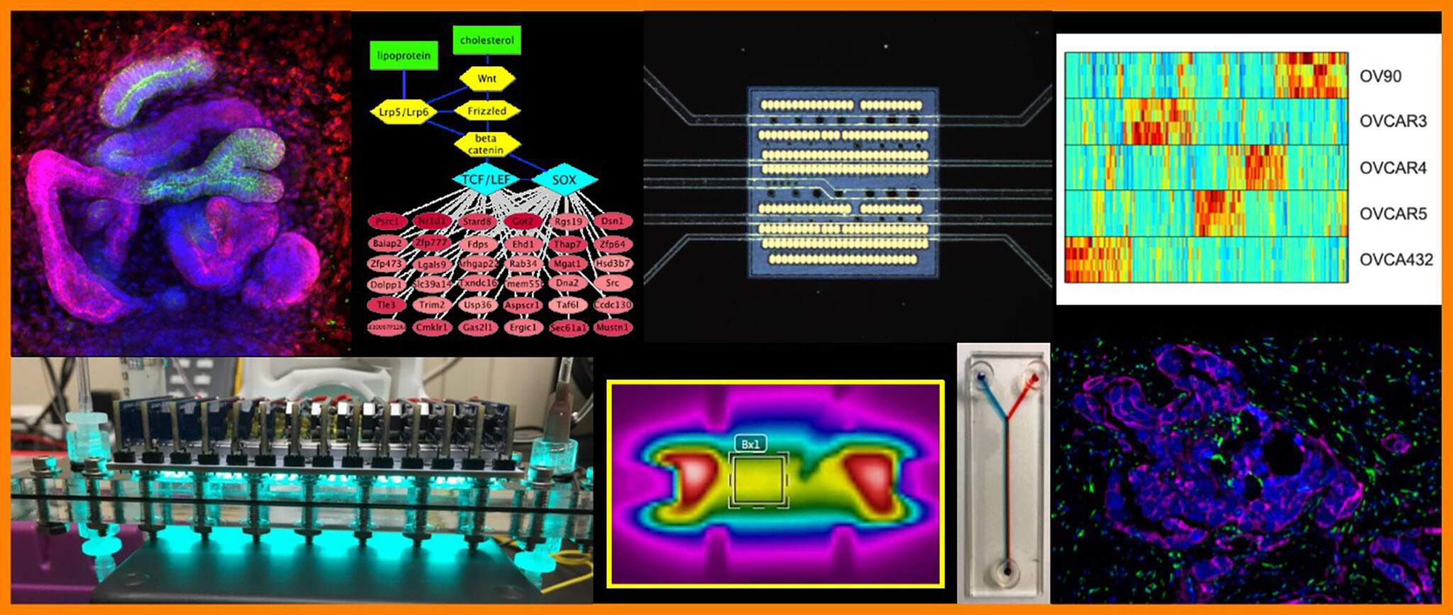 2019 Oregon Bioengineering Symposium « CH2M HILL Alumni Center, Oregon