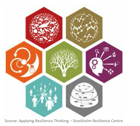 Applying Principles of Resilience (Part 1) | Sea Grant Scholars