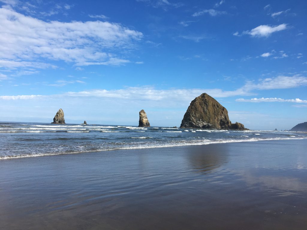 Walking the Wrack Line Sea Grant Scholars