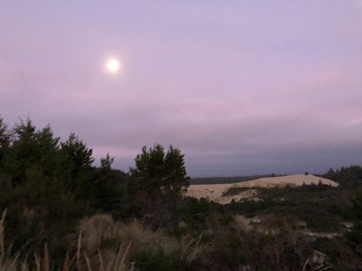 Blue and purple morning sky above the Florence, Oregon dunes. 