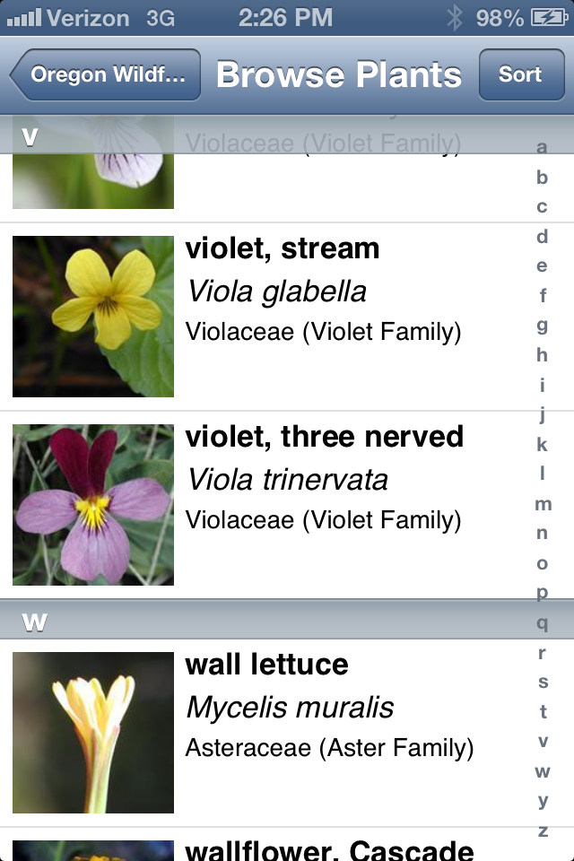 Oregon wildflower app for smartphones TreeTopics