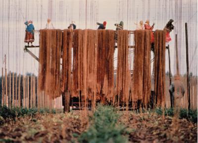 Women stringing hops on tractor