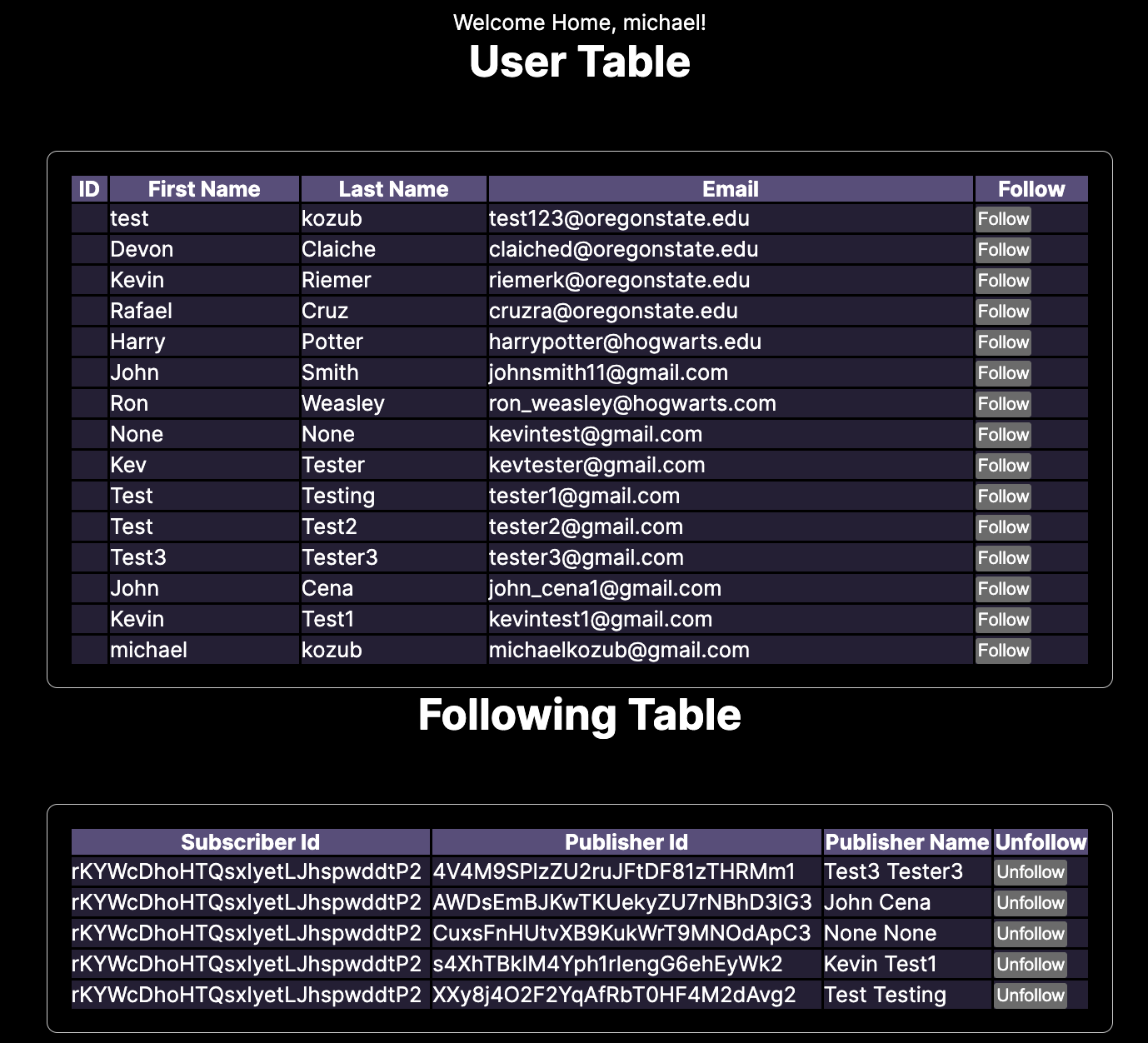 Michael Kozub – Week 5 – AI Coder Capstone Project Blog