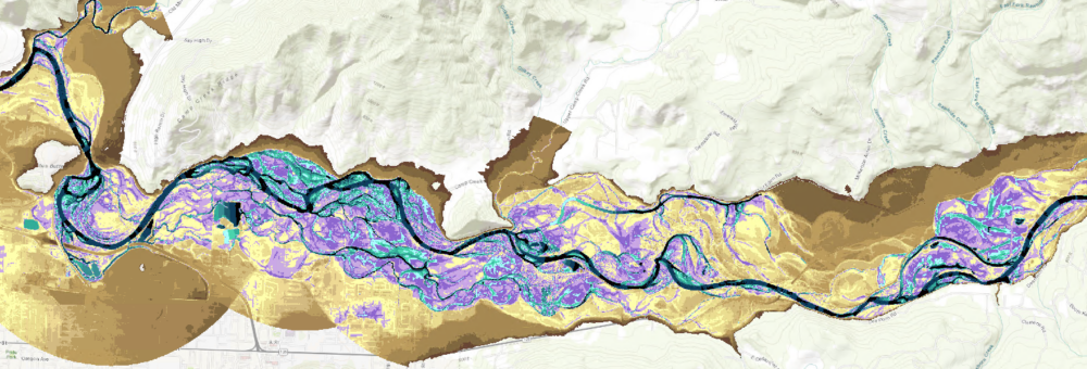 Floodplains as nature-based solutions