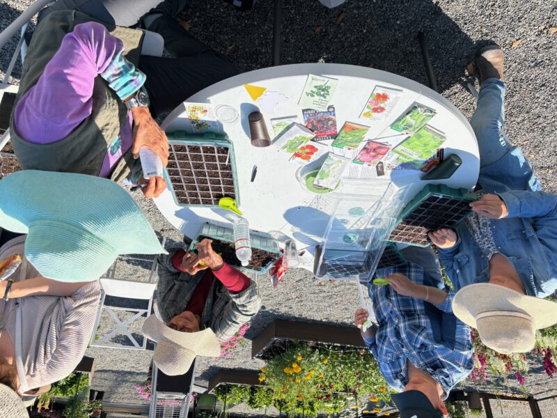 Hands on Seed Starting Workshop