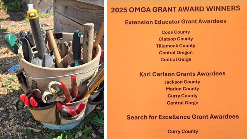 Joy of Gardening Grand Award Winners