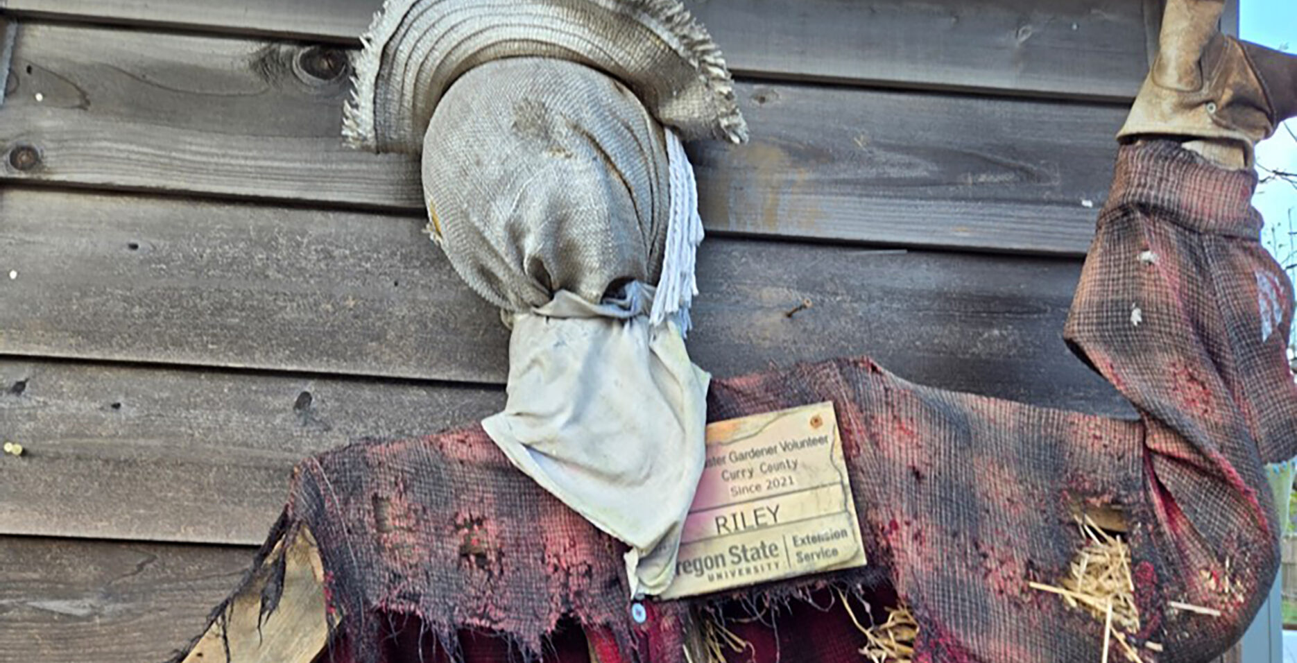 Riley the Scarecrow in Riley Creek ES Garden by Sarah Mocas