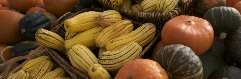 Squash and Pumpkins at Farmers Market by Tiffany Woods. Cropped from original.