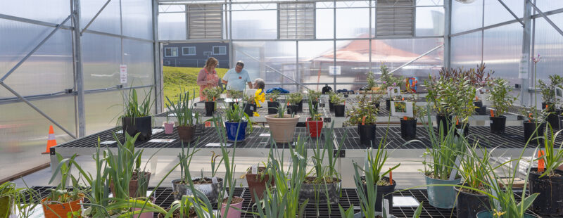 Curry Educational Greenhouse & Garden Interior