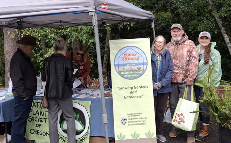 Brookings Harbor Garden Clubs Harvest by Julia Bott