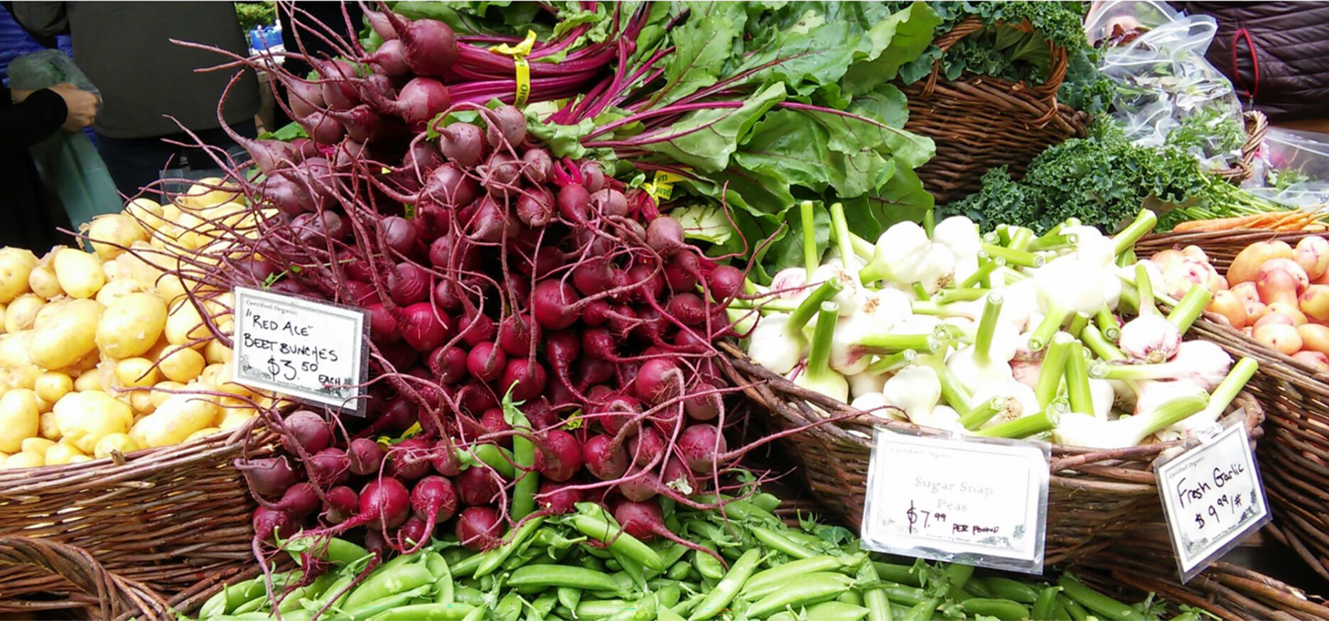 Farmers Market by Sarah Mocas