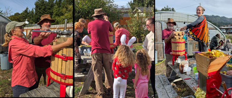 Riley Creek Fall Fest Collage 1