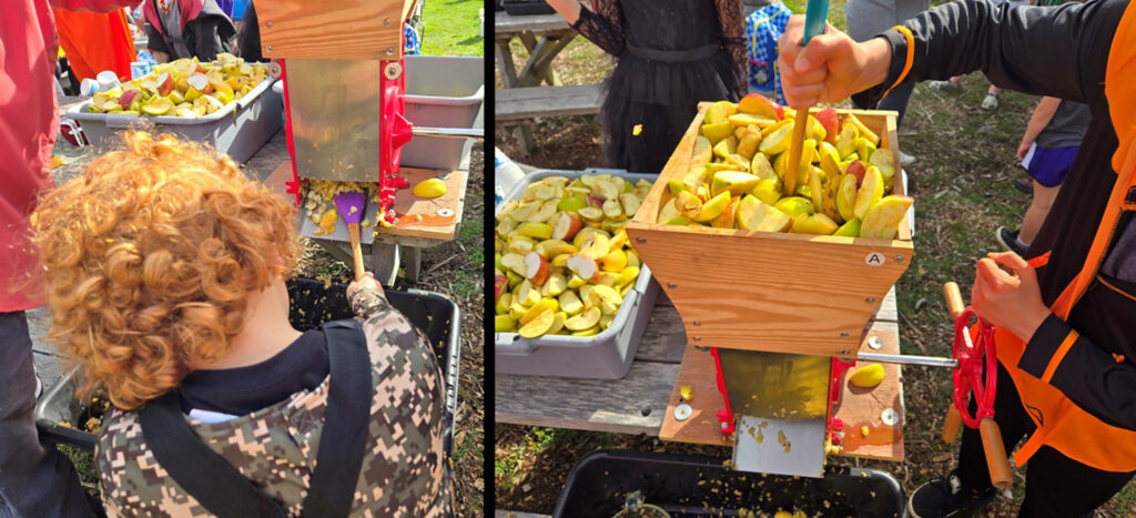 Riley Creek Fall Fest Collage 2