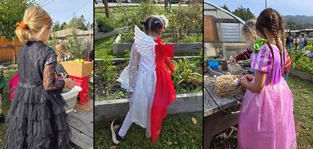 Riley Creek Fall Fest Collage 3