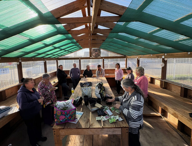 Students in South Coast Health Equity Coalition Greenhouse. Photo by Paul Maree