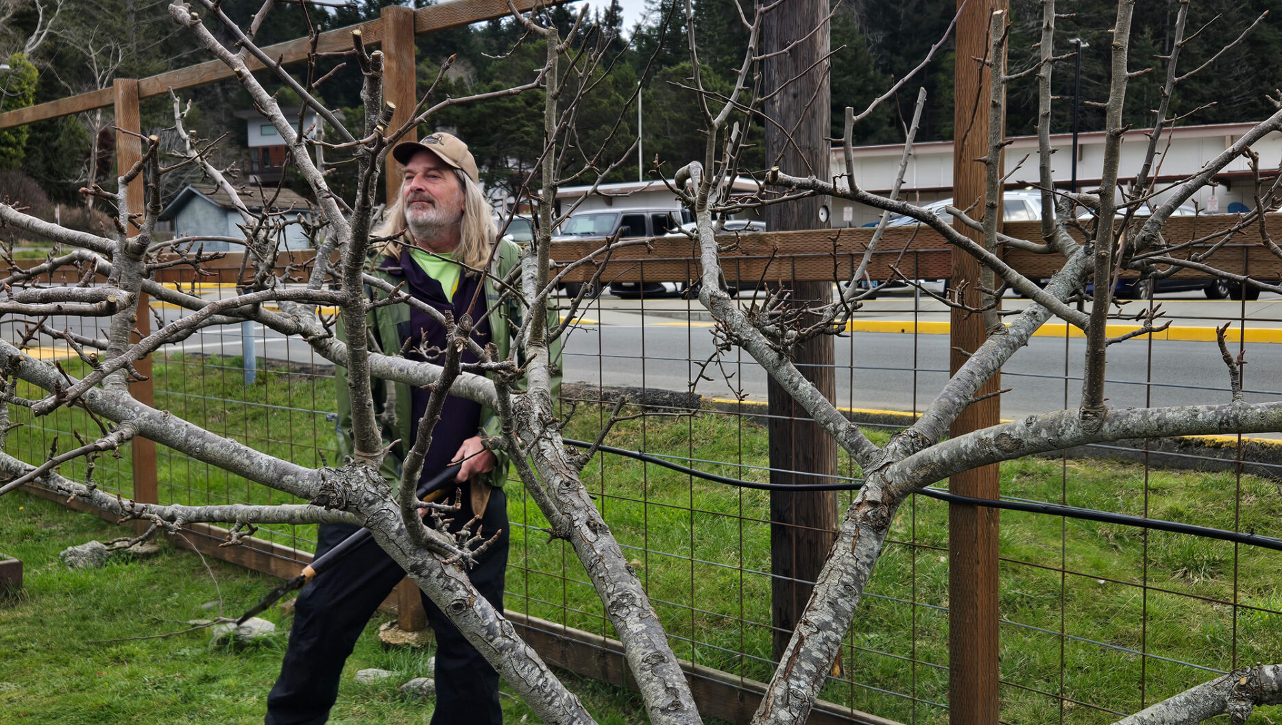 Tim Scullen Apple Pruning