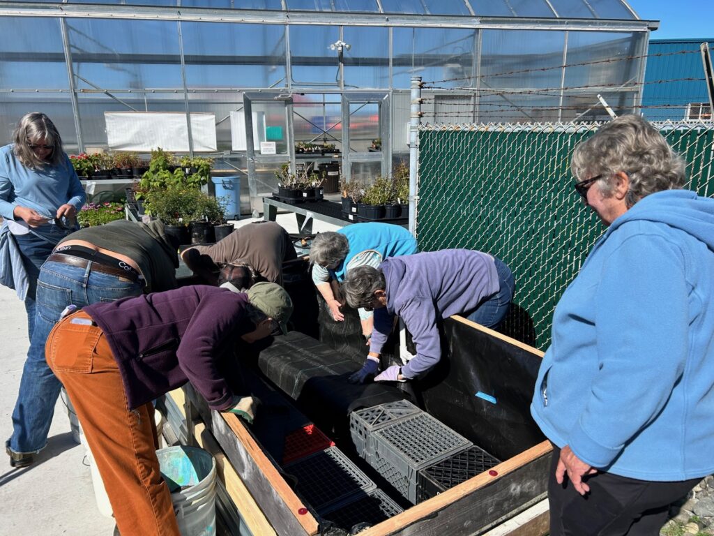 Wicking Bed Workshop By Diana Gorman