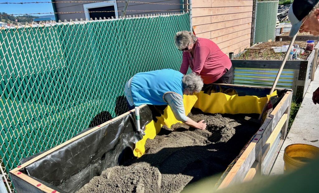 Wicking Bed Workshop By Diana Gorman