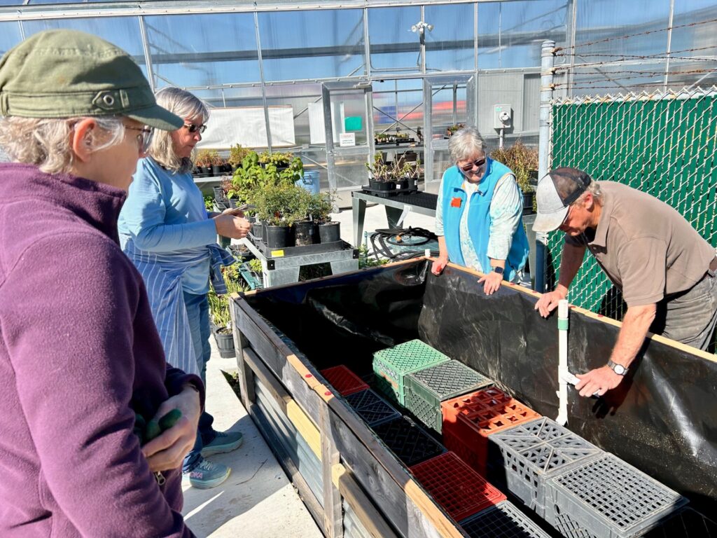 Wicking Bed Workshop By Diana Gorman
