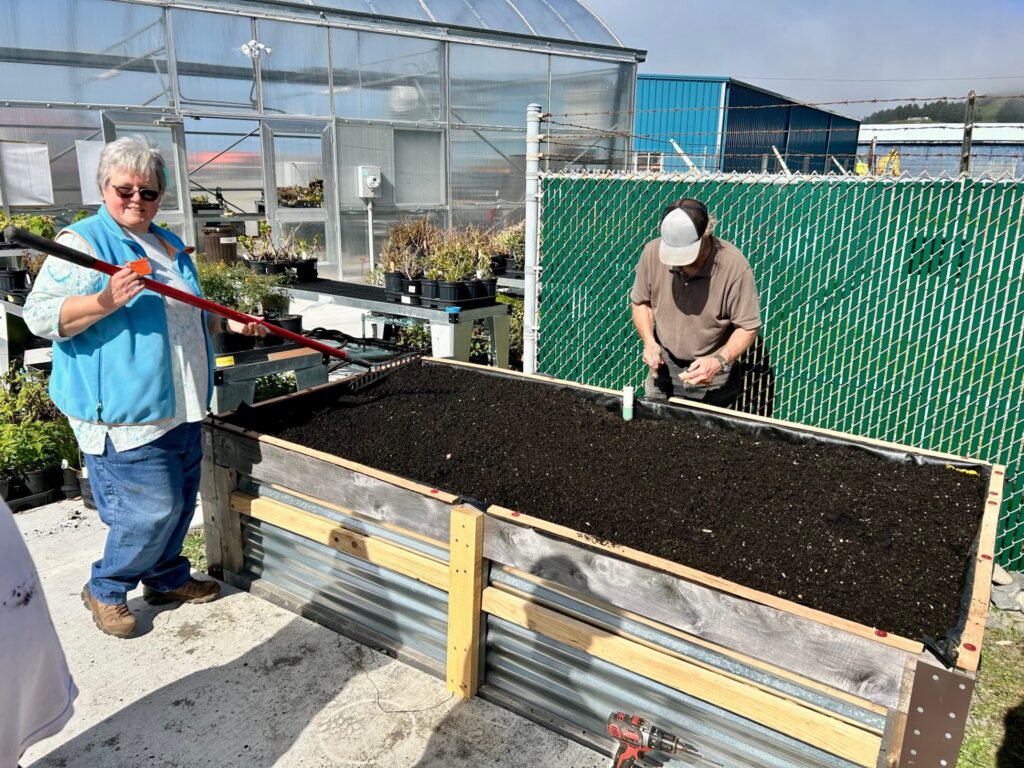 Wicking Bed Workshop By Diana Gorman