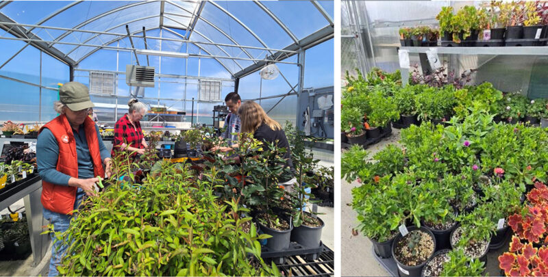 2026 Plant Sale Preparations