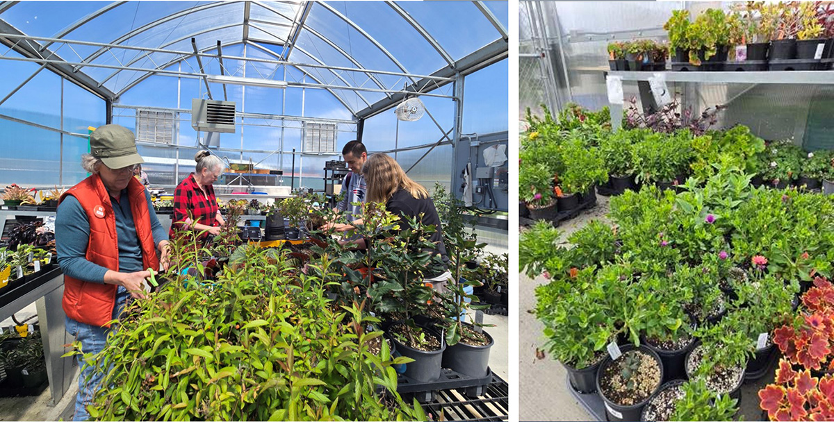 2026 Plant Sale Preparations