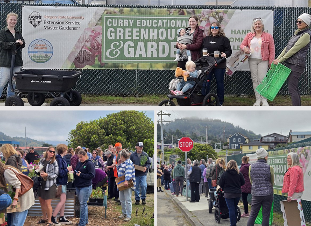 2026 CCMGA Plant Sale collage