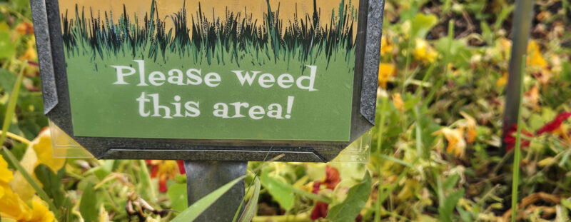 garden of weedin'