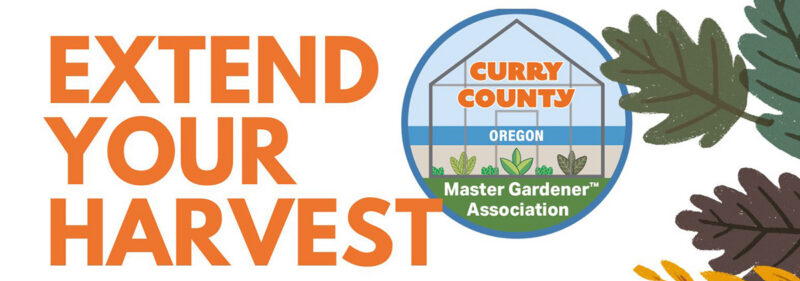 Extend your harvest banner
