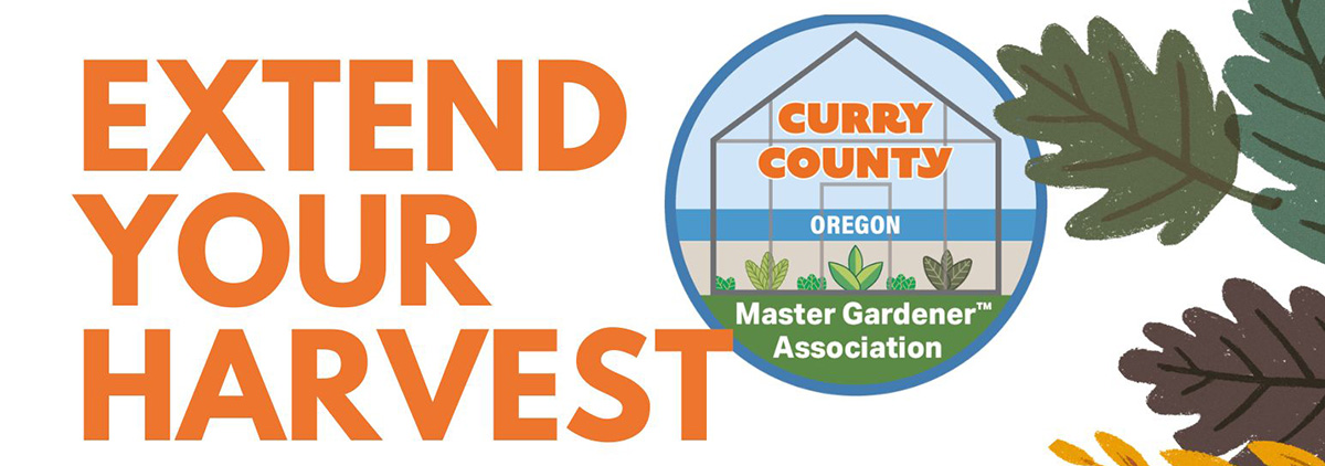 Extend your harvest banner
