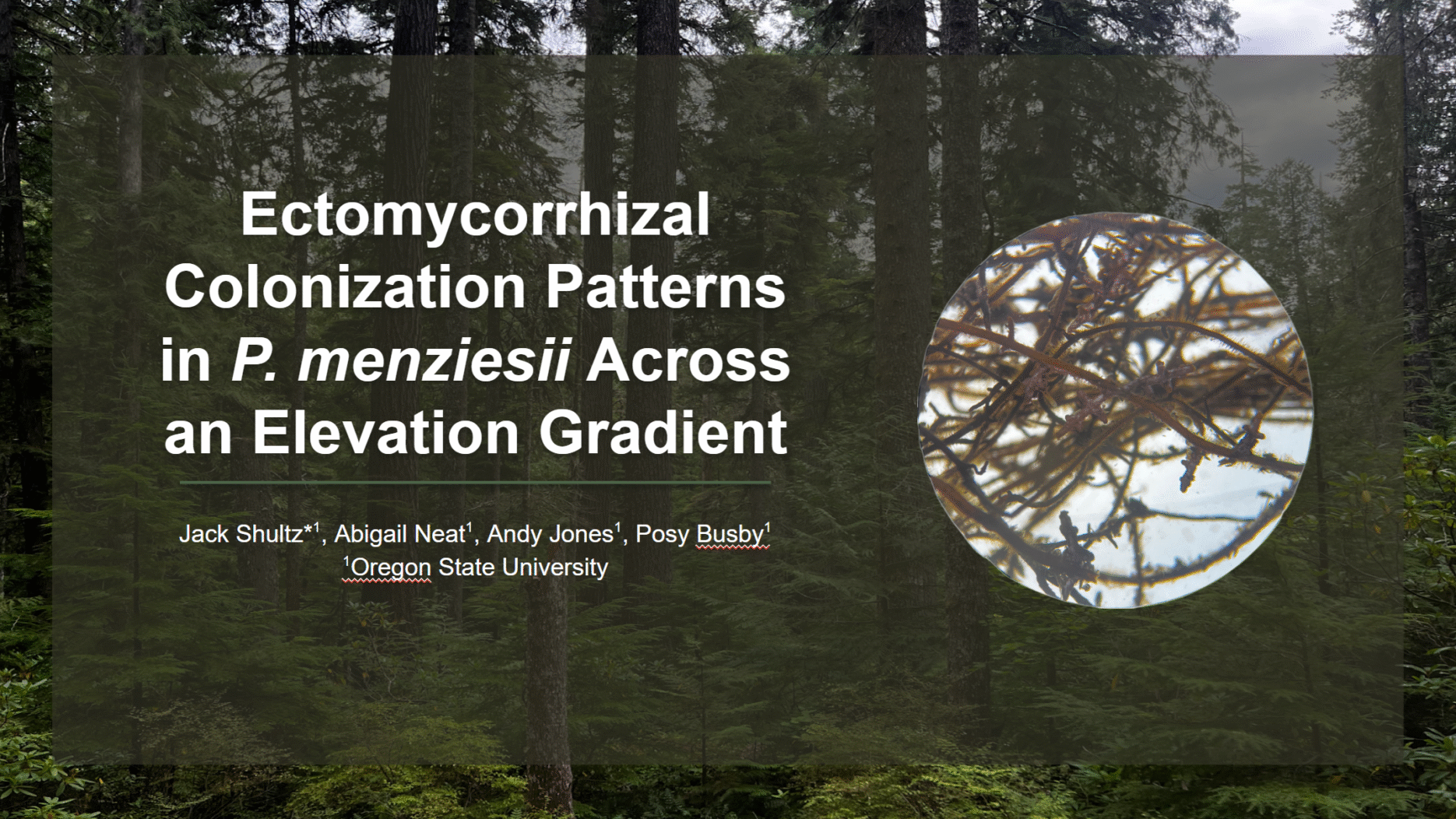 Title slide of presentation