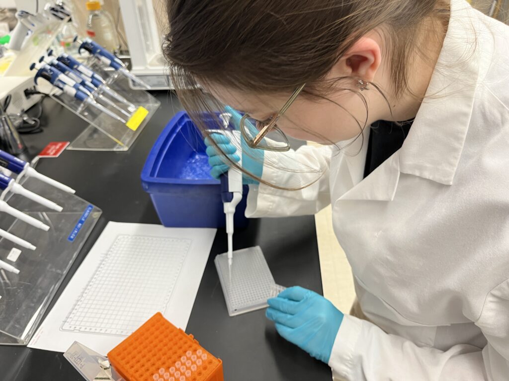 Student loading a qPCR plate at a lab bench